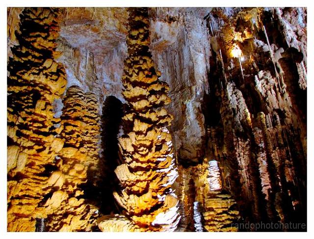 203.jpg - Stalagmites