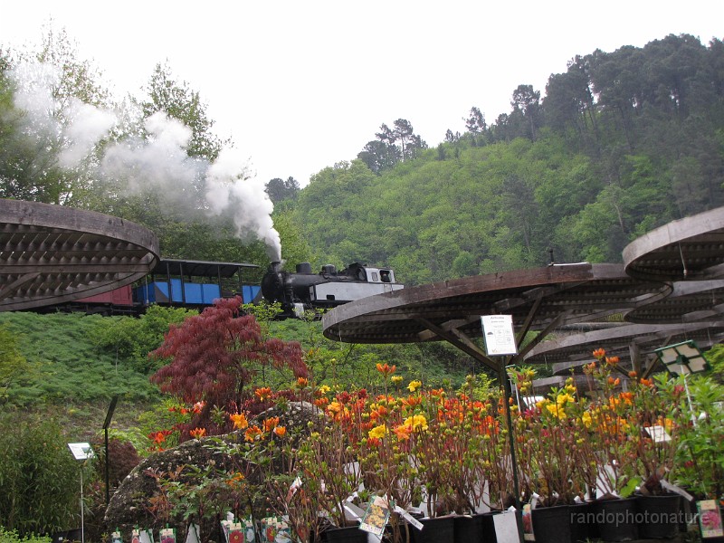 2011-04-23_11h-01m_075.JPG - Le train à vapeur des cévennes relie Saint Jean du Gard à Anduze