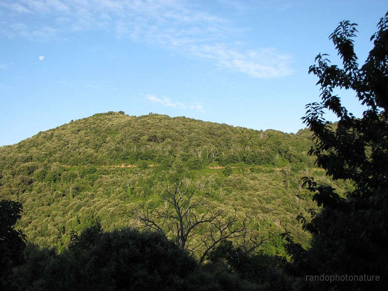 024.JPG - Vue depuis le gîte sur la forêt de chataîgniers