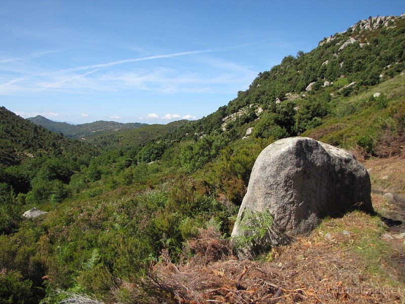 054.JPG - Vallon de Codi