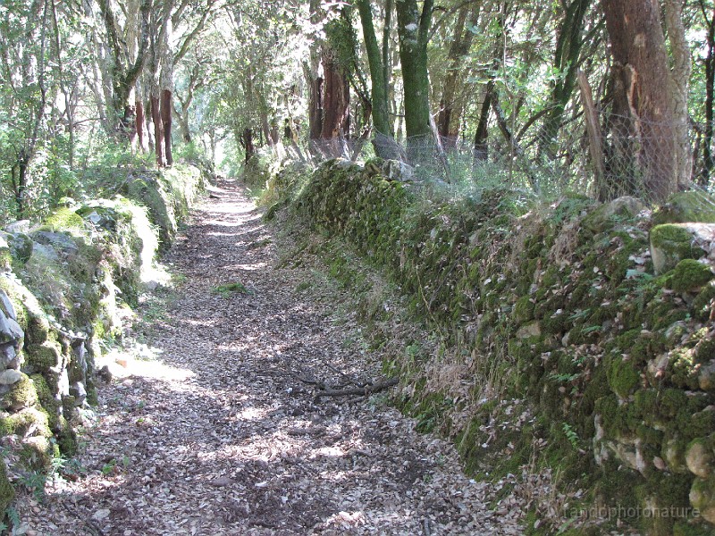 092.JPG - Ancien chemin bien conservé