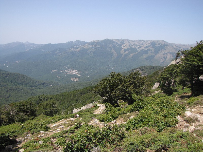 144.JPG - Vue sur le Haut Taravo