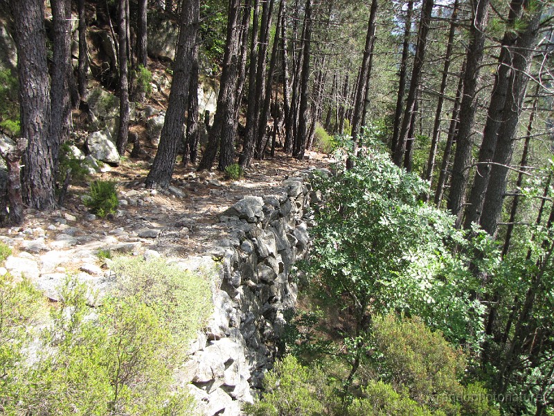 154.JPG - Beau mur de soutènement