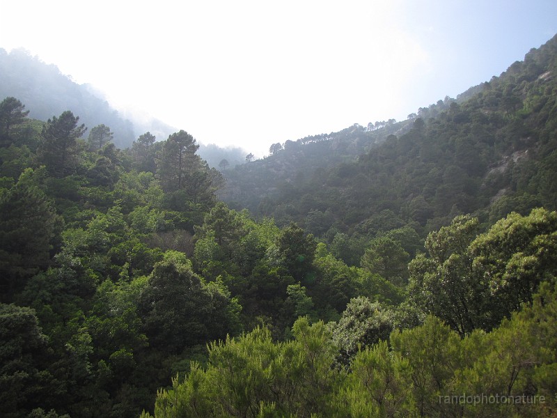 157.JPG - Vallon du Macini