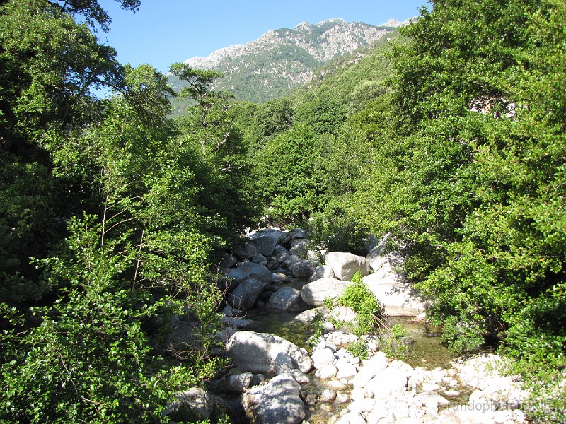 163.JPG - Ruisseau de l'Abatesco