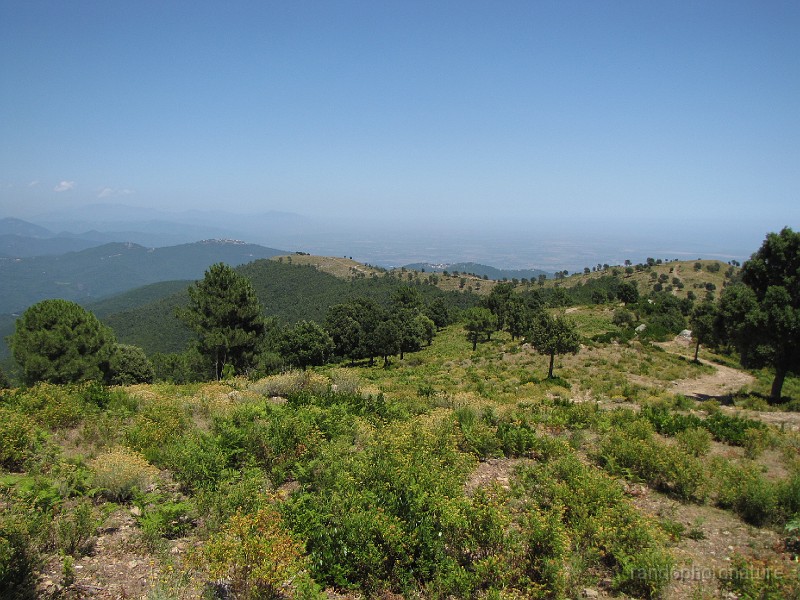 173.JPG - Vue de la descente en empruntant le coupe-feu