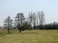 2009-03-22_10h45m42s_008