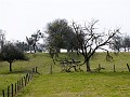 2009-03-22_11h02m38s_014