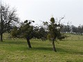 2009-03-22_11h02m45s_015