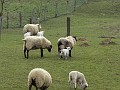 2009-03-22_11h13m48s_016