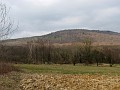 2009-03-22_15h03m51s_057