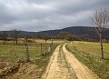 2009-03-22_15h08m42s_058
