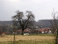 2009-03-22_15h11m05s_059