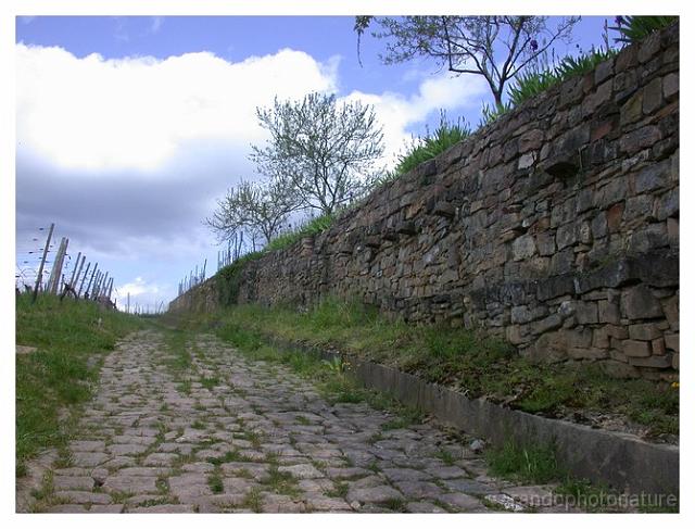2008-05-01_12h29m40s_058.jpg - Beau chemin