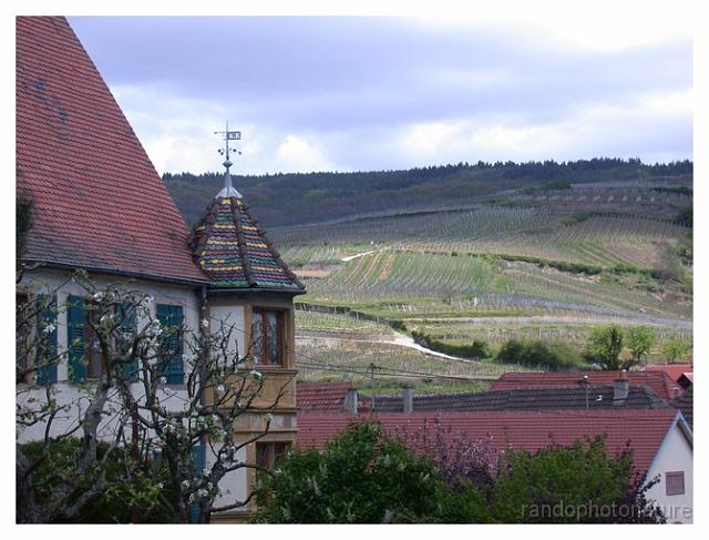 2008-05-01_12h42m53s_068.jpg - Oriel et vignes