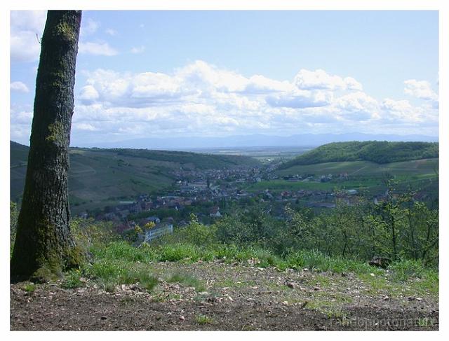 2008-05-01_13h05m07s_073.jpg - Panorama depuis le Grossfels