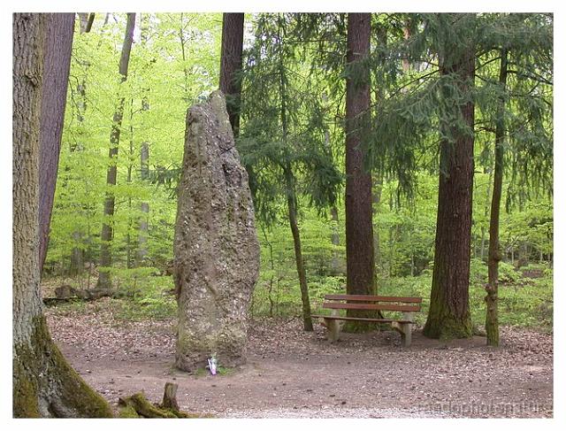 2008-05-01_13h59m13s_077.jpg - Menhir du Langenstein