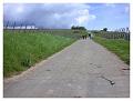2008-05-01_10h39m27s_005
