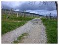 2008-05-01_10h54m01s_011