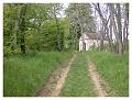 2008-05-01_11h04m35s_015