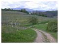 2008-05-01_11h11m57s_022