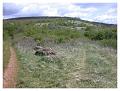 2008-05-01_11h52m08s_038