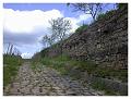 2008-05-01_12h29m40s_058
