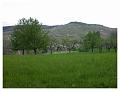 2008-05-01_12h54m42s_071