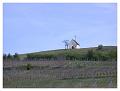 2008-05-01_15h17m04s_088