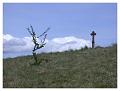 2008-05-01_15h26m46s_091