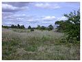 2008-05-01_15h29m45s_093
