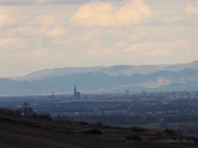2010-04-02-16h-32m-41s_042a.JPG - au fond la cathédrale de Strasbourg