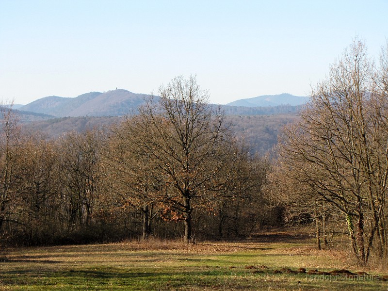 2011-01-16_13h-45m_008.JPG - Le Mont National et au fond le Guirbaden