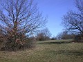 2007_03_04_004