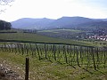 2007_03_04_006