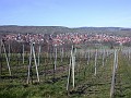 2007_03_04_011