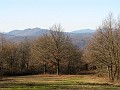 2011-01-16_13h-45m_008