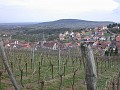 DSCN4231