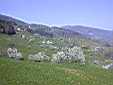 image_005.JPG