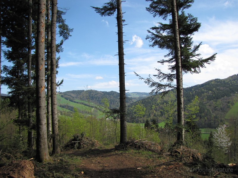 006.JPG - Le paysage se bonifie avec la montée