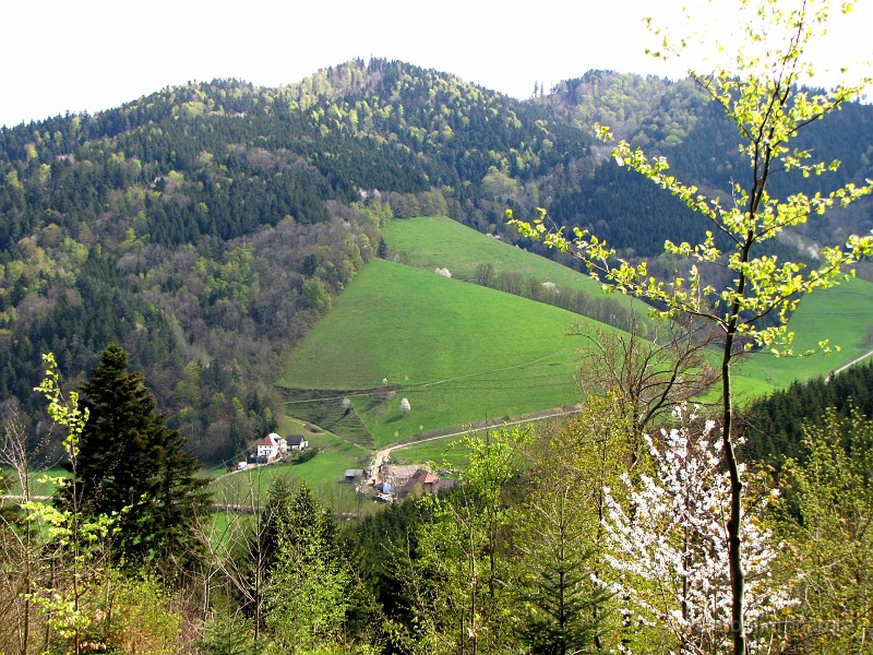 007.JPG - Premières fermes