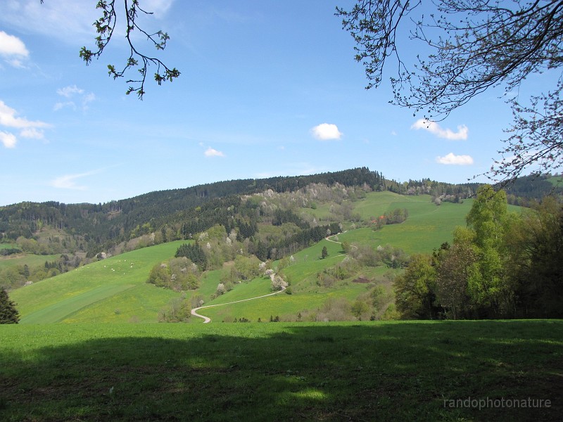 008.JPG - Vers Rechtenbach