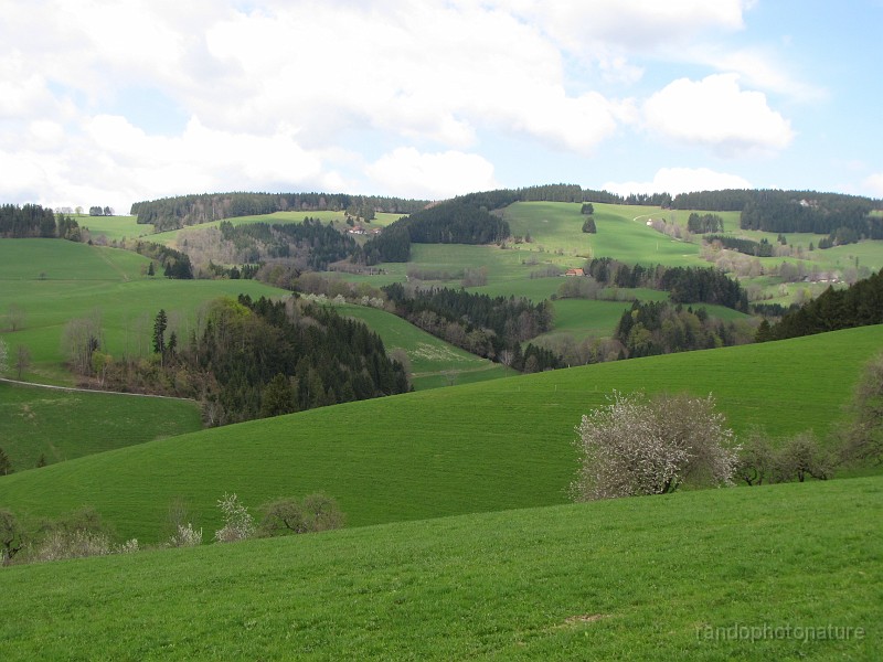 033.JPG - Magnifiques vallonnements