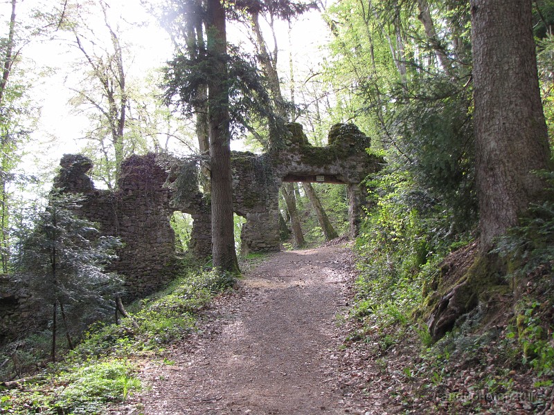039.JPG - Ruine au-dessus de Wiesneck