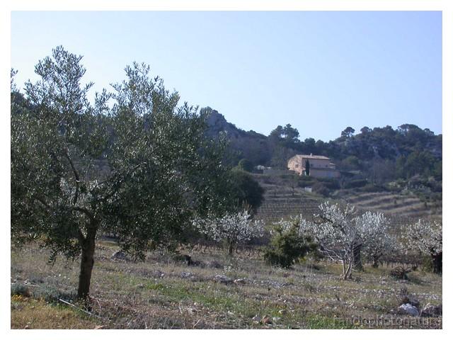 2008-04-06_10h33m03s_010.jpg - La Rouvière