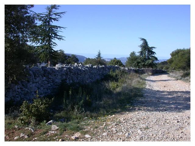 2008-04-07_09h43m36s_005.jpg - Mur de la peste