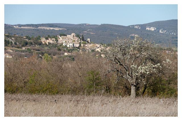 2008-04-07_16h32m13s_087.jpg - Village de Joucas entre Gordes et Roussillon