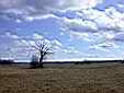 image_006.JPG