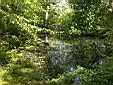 image_012.JPG