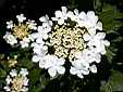 image_013.JPG